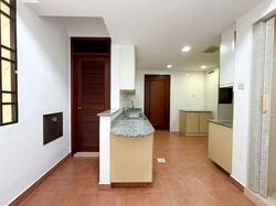 Seletaris (D27), Condominium #570434931